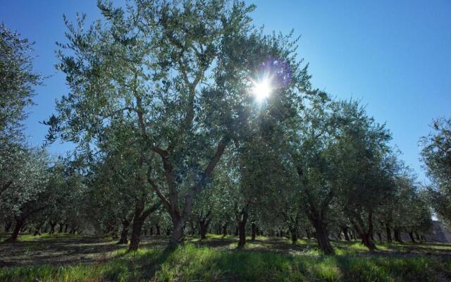 Agriturismo Il Casaletto
