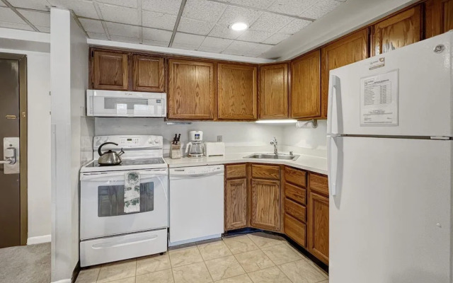 Mt Green 2-f04 in Killington