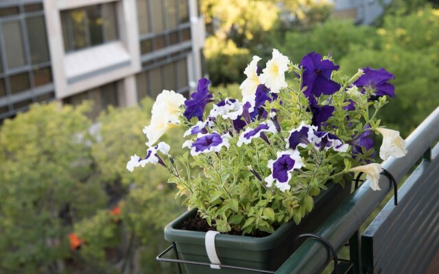 Flower Court - Guest House