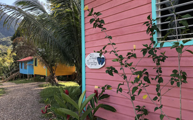 Toucan Ridge Ecology & Education Society T.R.E.E.S.