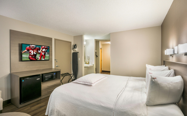 Red Roof Inn PLUS+ Boston - Logan