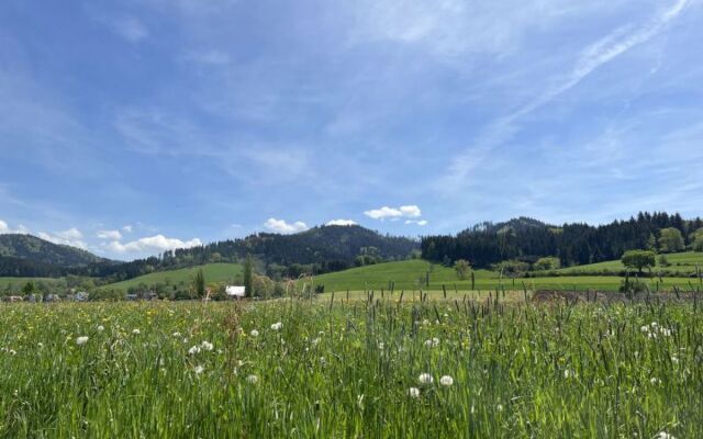 Apartment Freiburg Kirchzarten