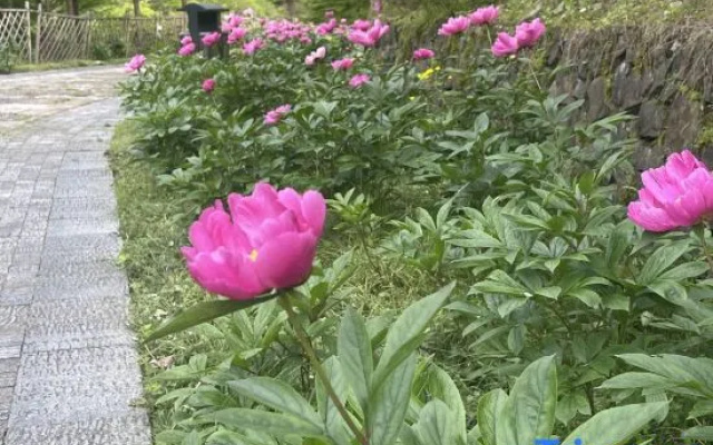 Sanqingshan Beishan Resort Villa