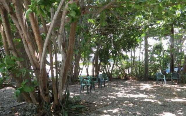Ed & Ellens Lodging Key largo