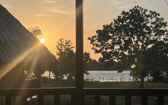 Saffron Lake Yala