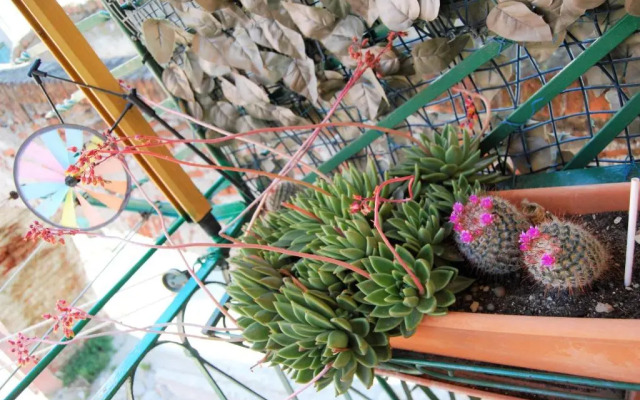 A c du Grillu Casa Vacanze