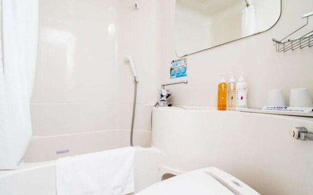 Super Hotel Natural Hot Springs Fuji