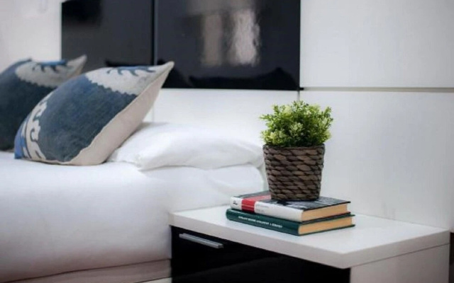 Apartamento Plaza Castilla
