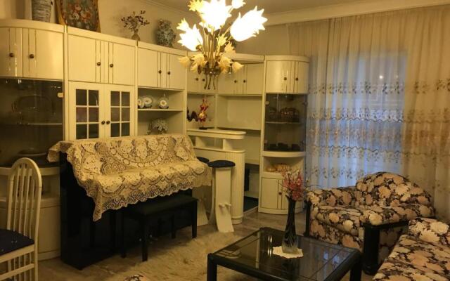 Luxury apartment close to city center, university and children's hospital