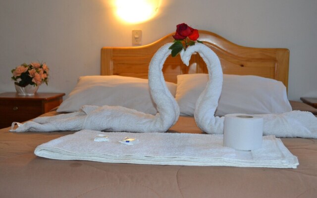 Hostal El Gran Safari