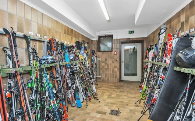 Hotel Pinzgauerhof by Skinetworks