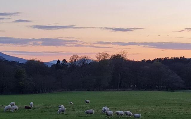 North Face Dwelling at Ardenvale