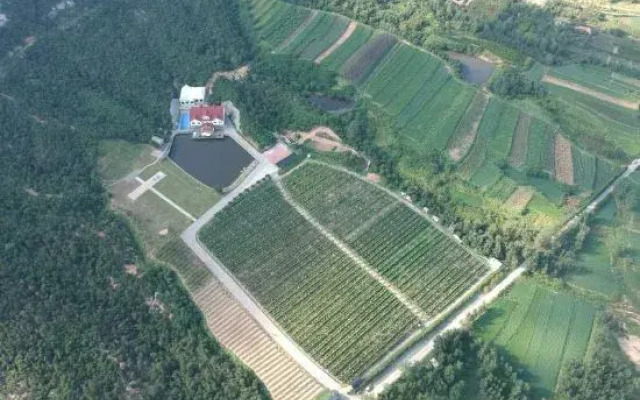 Memedee Manor Homestay