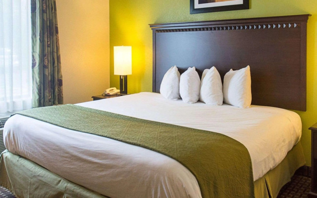 Quality Inn and Suites