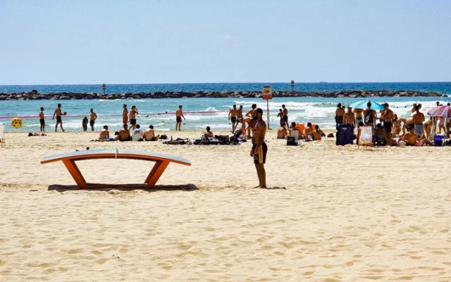 Geula Tulipe in Tel Aviv-yafo