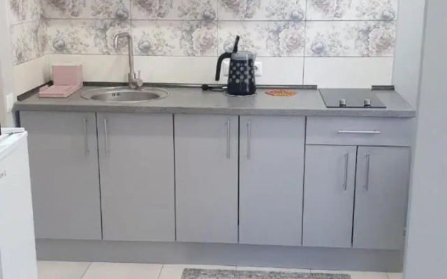 Apartment in Truskavets