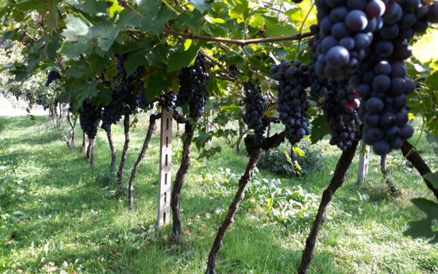 Agriturismo Villa Stella