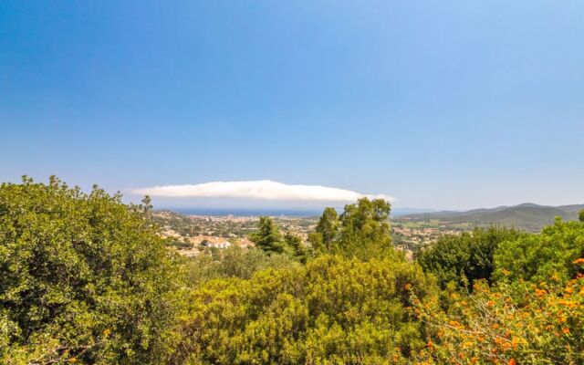 Mont des Roses 17437