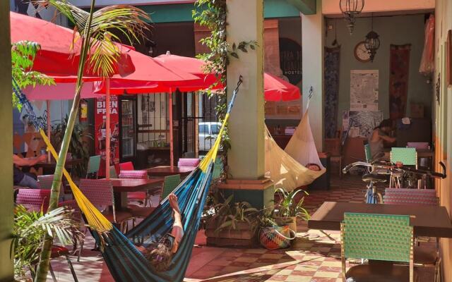 Hierba de Conejo - Hostel