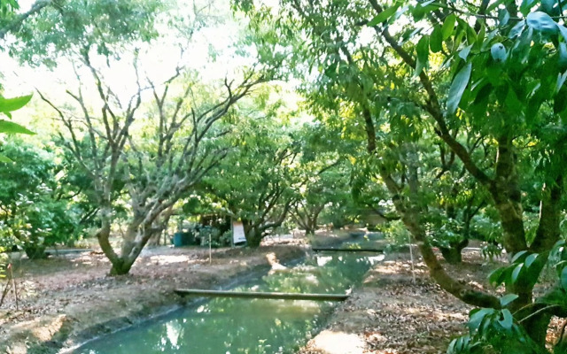 Warakorn Baansuan - Amphawa