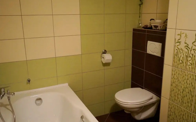 Apartment Boroví