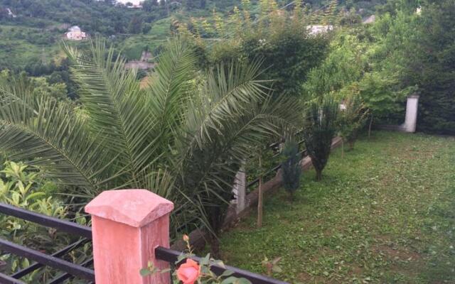 To Jijavadze Guest House