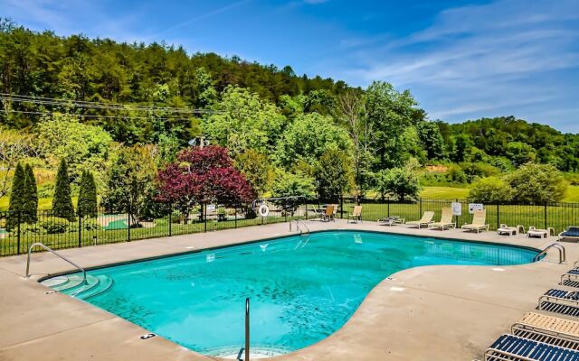 Bear Vista Retreat w HotTub Pool View