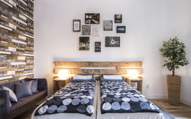 Large Central Apartments Rippl Rónai