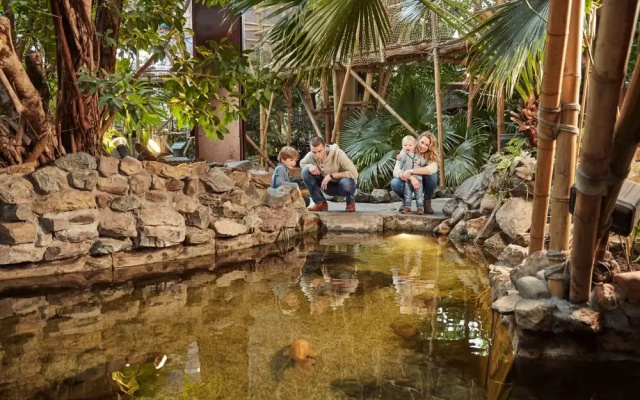 Center Parcs De Huttenheugte Dalen