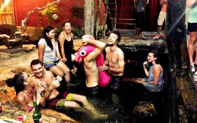 The Rabbit Tree - Hostel