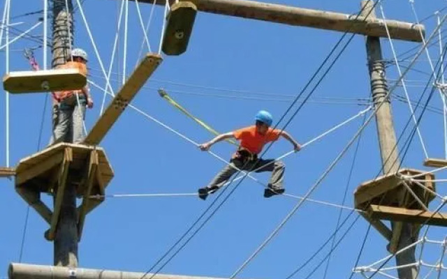 Little Cove Adventures