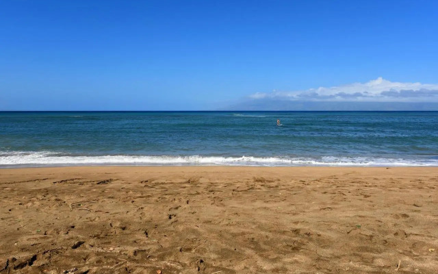 Royal Kahana 104