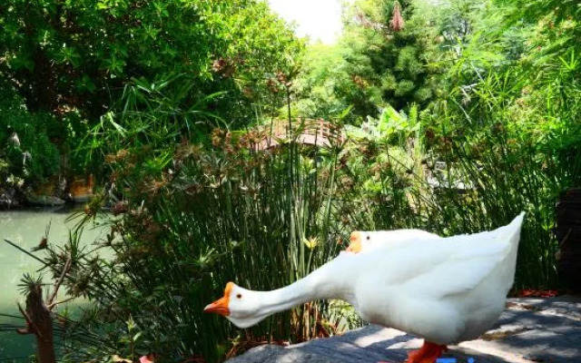 Putuoquan Hot Spring Resort