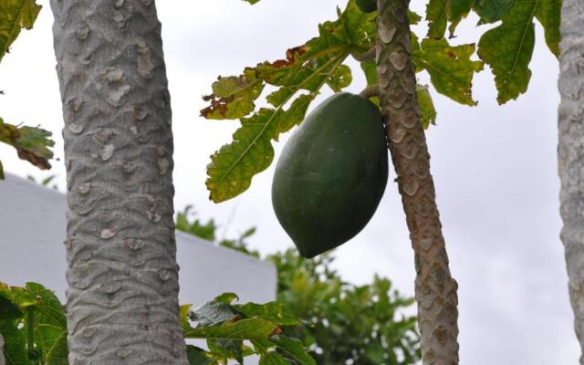La Casita de Mari Carmen