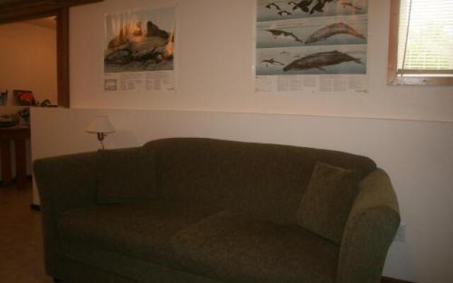 Wild Edge Lodge