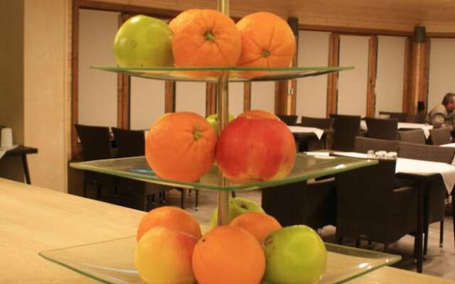 Hotel Mallnitz Appartements