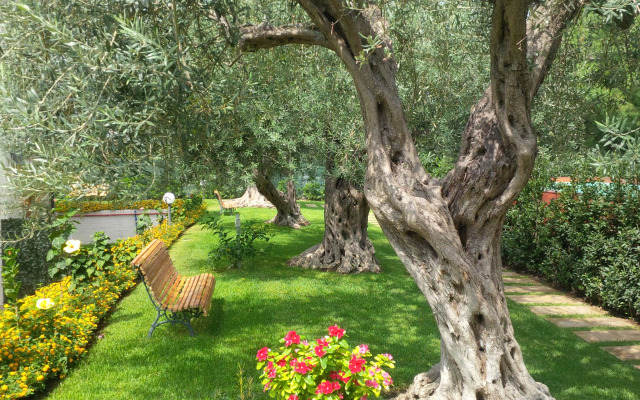 Villa Collina