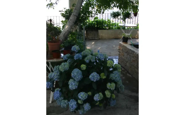 Hostal Las Terrazas de la Alpujarra