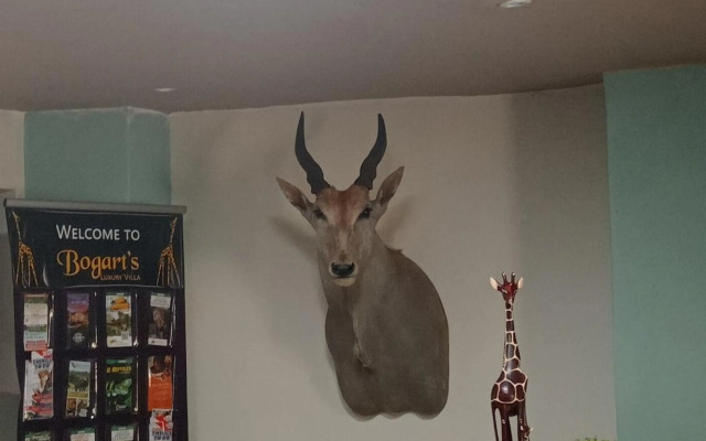 Hazyview Bogarts Villa