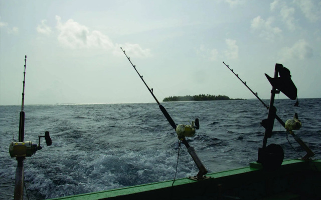 Hibaru Fishing Lodge
