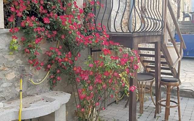 La Cave au Soleil du midi