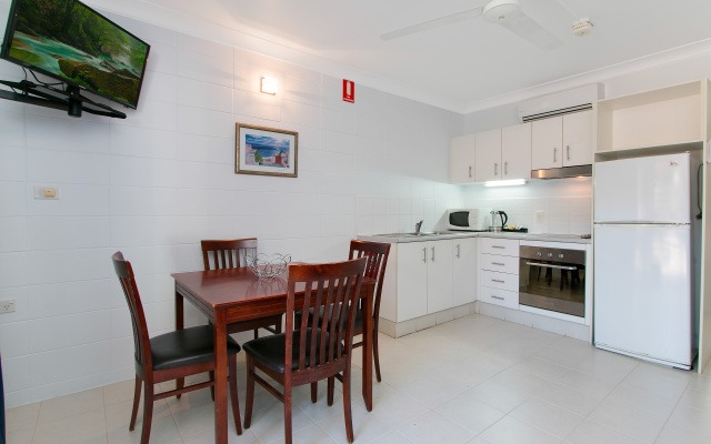Cairns City Palms