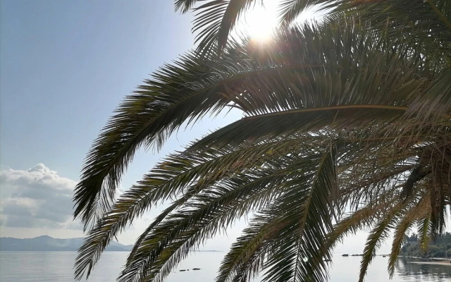 Alekos Beach Houses - Alekos Beach Complex