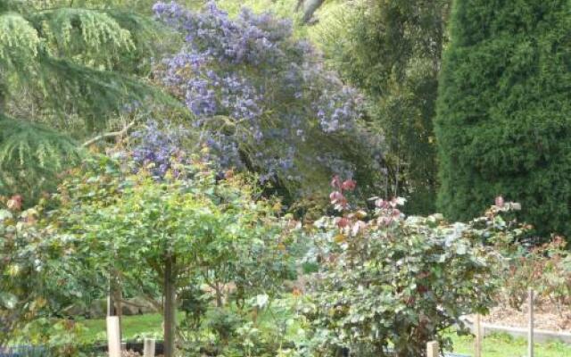 Wisteria Lodge Bed and Breakfast