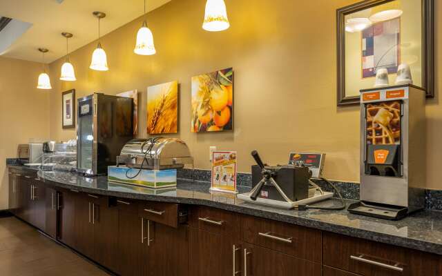 Comfort Suites Old Town Spring