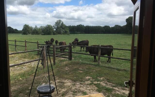 De Rozephoeve Studio