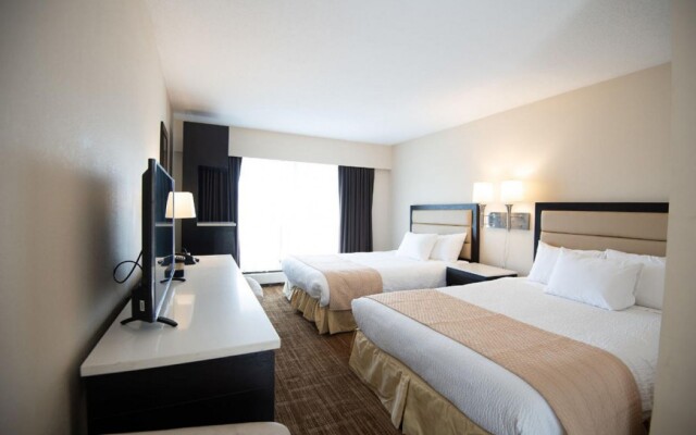 Connaught Motor Inn
