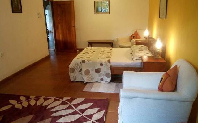 Tea Leaf Retreat Peradeniya
