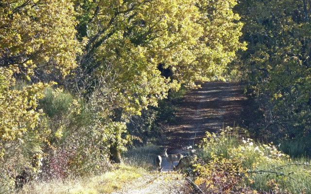 Agriturismo Kebio
