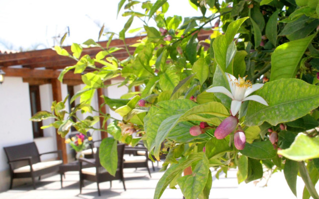Agriturismo Terra dei Limoni
